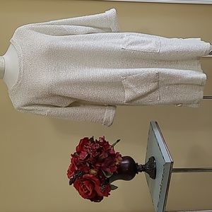 NEW Shift dress 3/4 Sleeve oatmeal Texture Split sides Pockets Robert Lewis Lrge